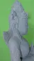morepic-4